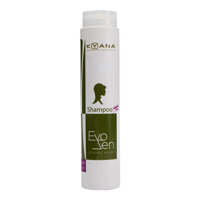Shampoo Repair Now για αναδόμηση 250ml